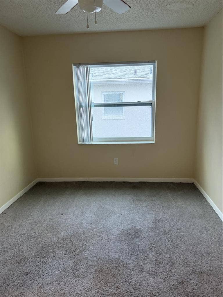 Looking for a single female roomate