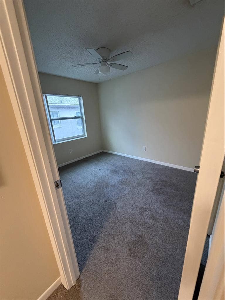 Looking for a single female roomate