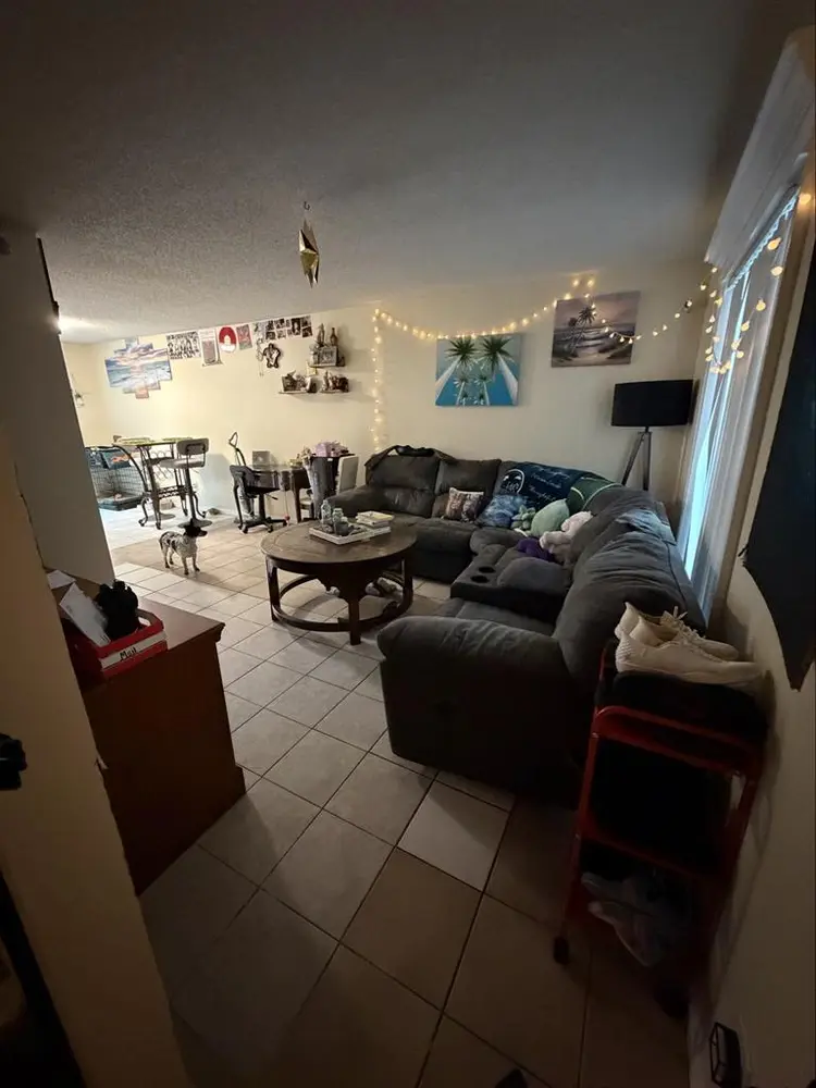 Looking for a single female roomate