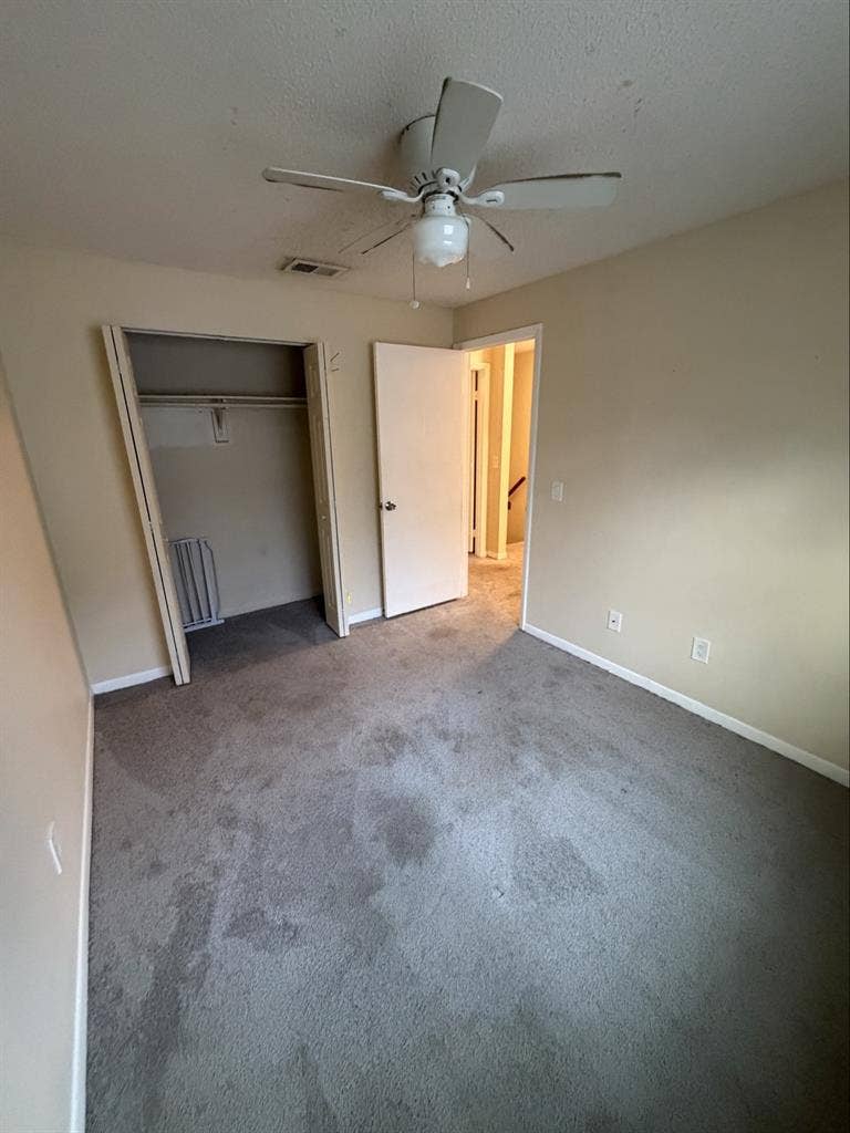 Looking for a single female roomate