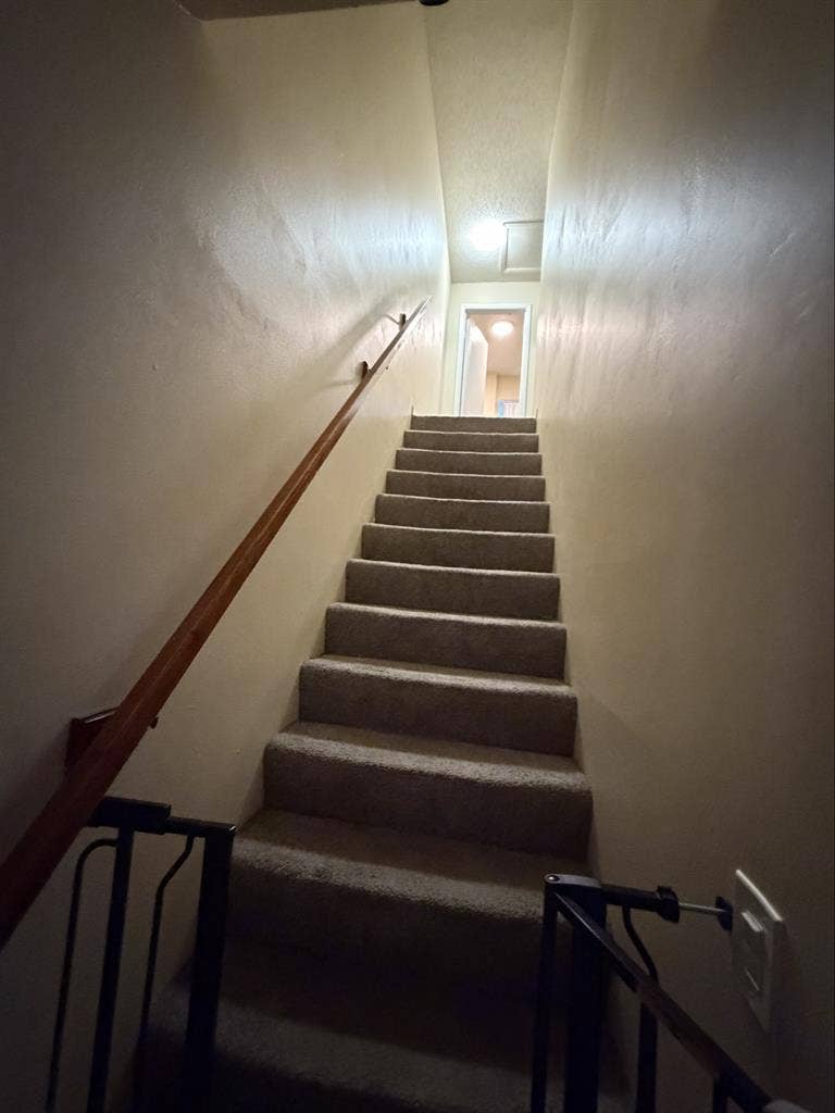 Looking for a single female roomate
