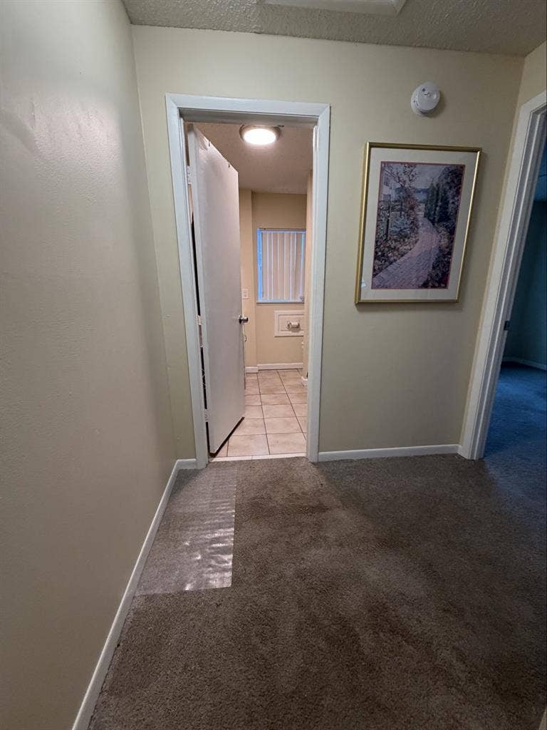 Looking for a single female roomate