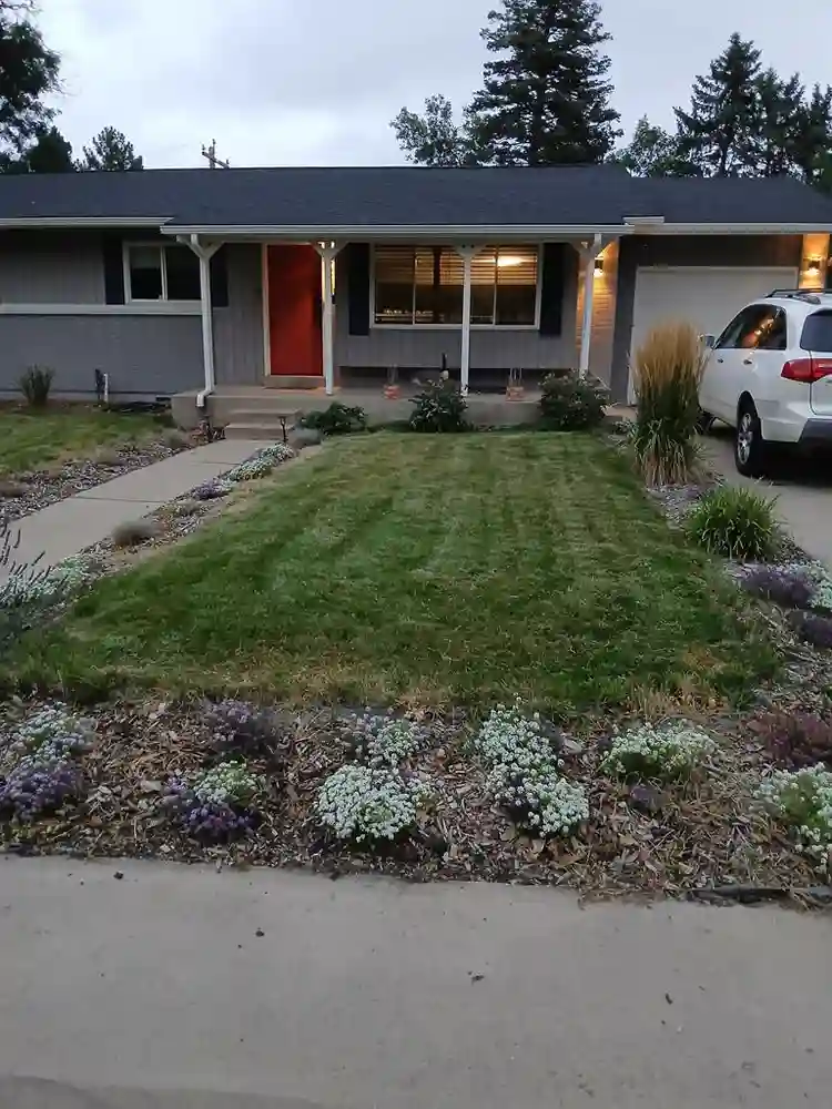 1 Bedroom in Applewood Golden