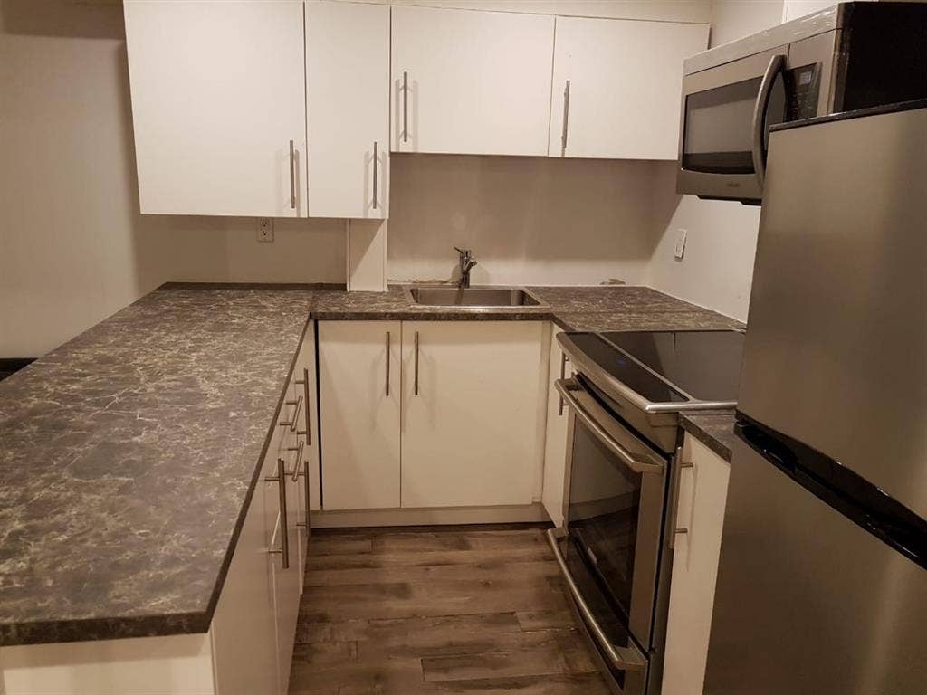 cozy renovated studio basement