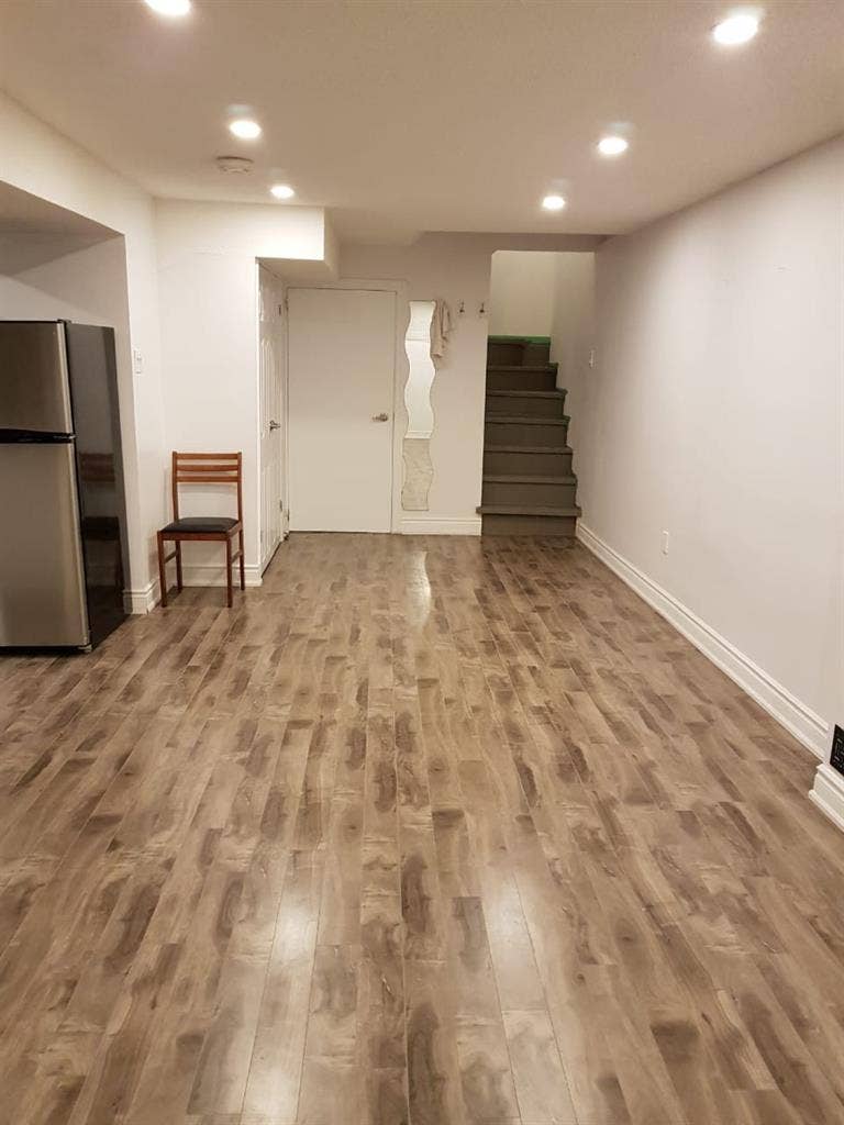 cozy renovated studio basement