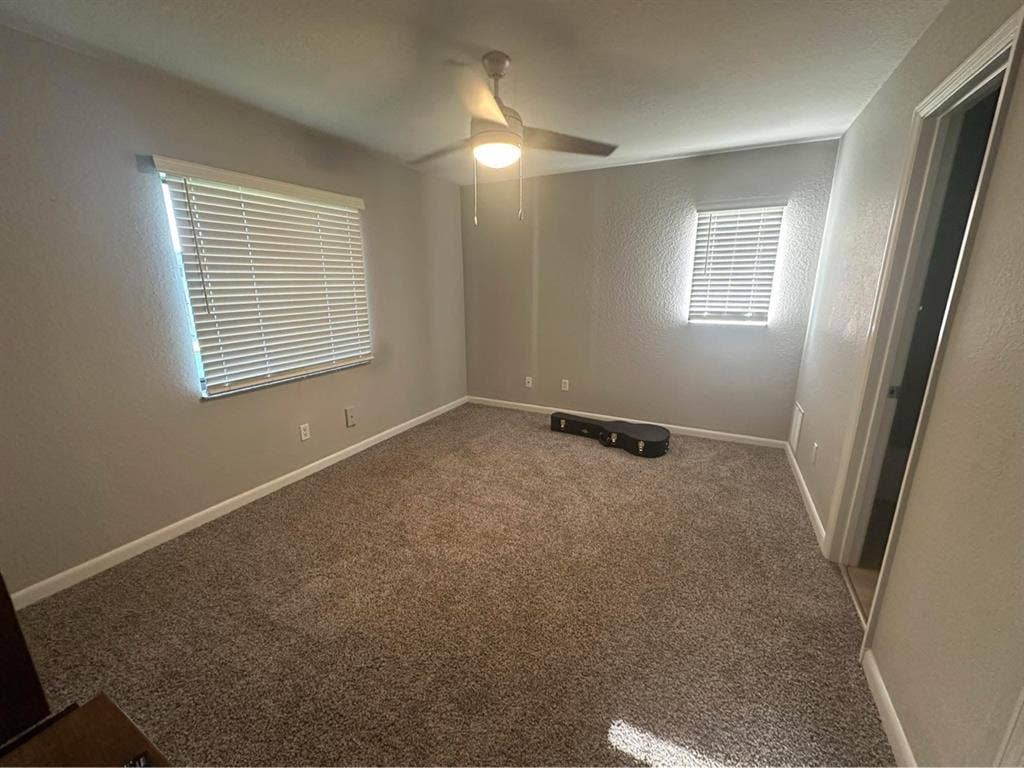 Roommate wanted