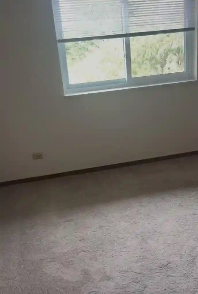 Looking for a flatmate