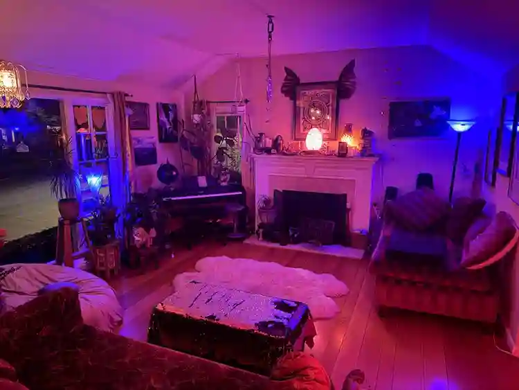 💎 Hidden Gem-Luxury, Lush Vibes 💎