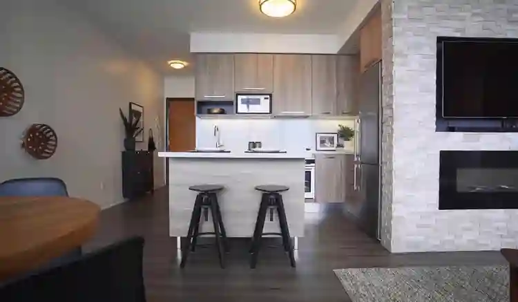 Apartment 1 bed Fully furnished