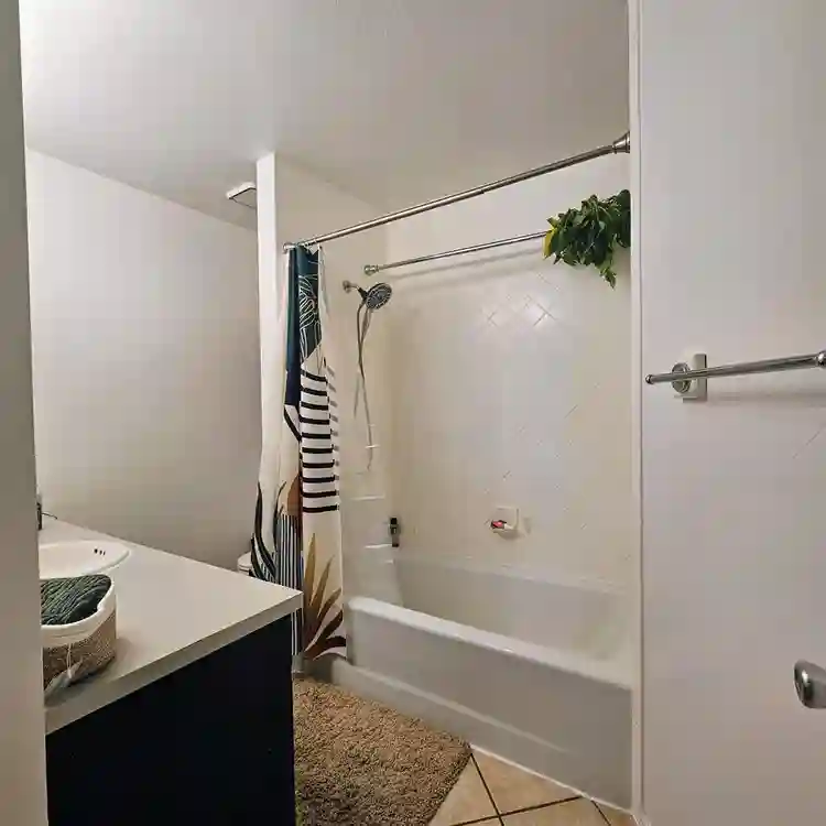 Room for rent - $550 /mo ✨️