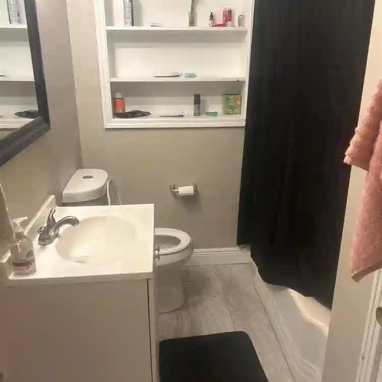 House with 3 guys. Move Nov/Dec.