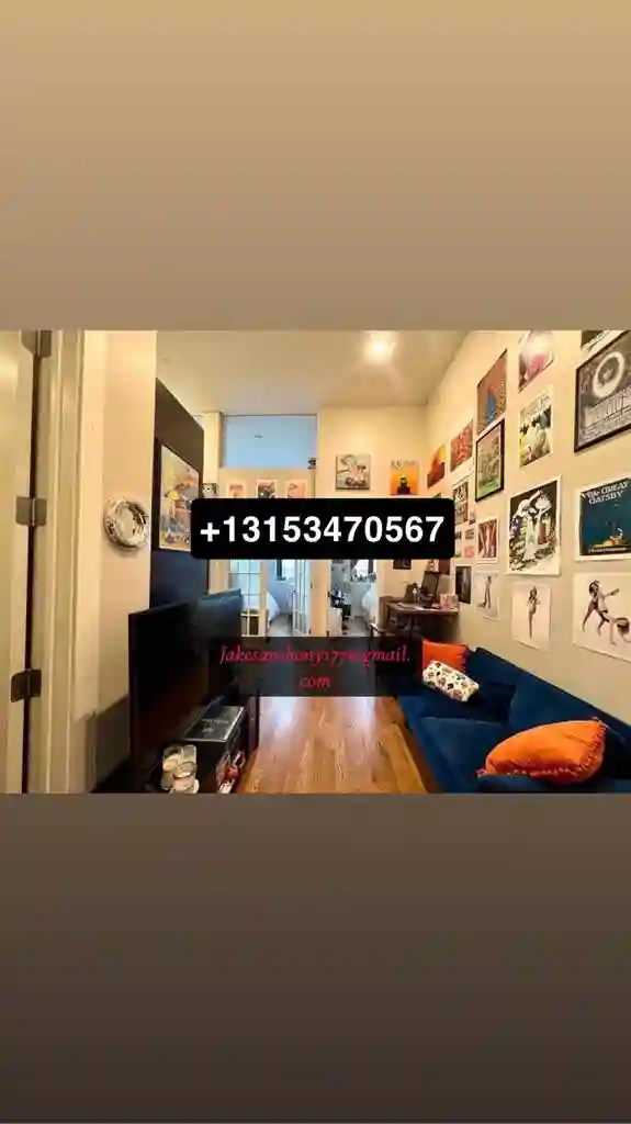 Fully Furnished 1 bedroom apartment