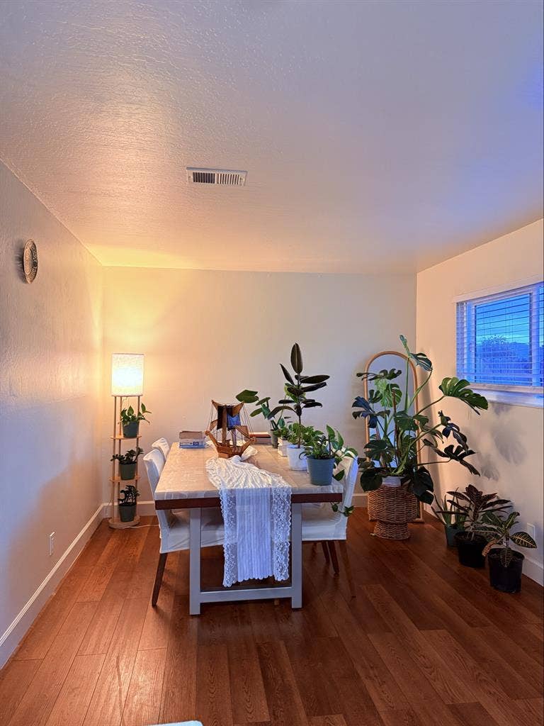 Room for $800 female roommate only!