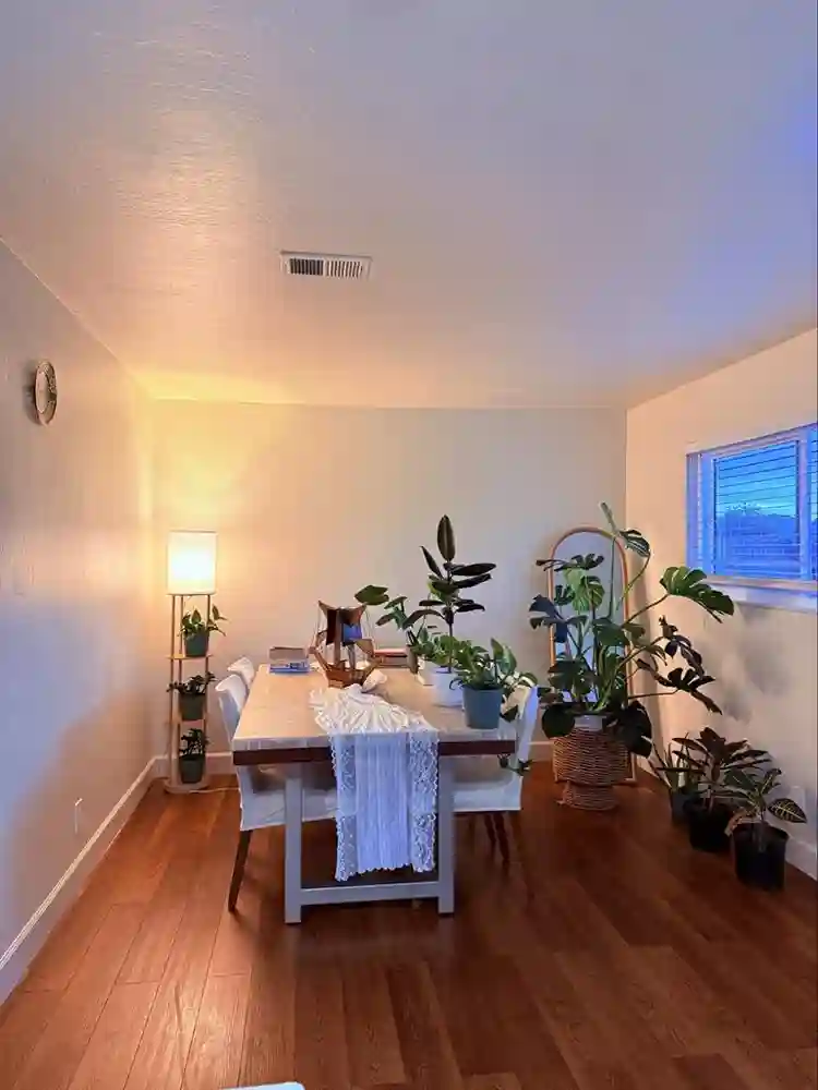 Room for $800 female roommate only!