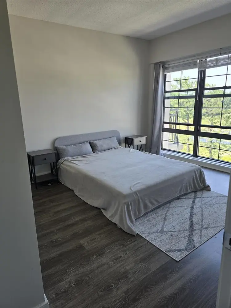 Great Room Available To Rent
