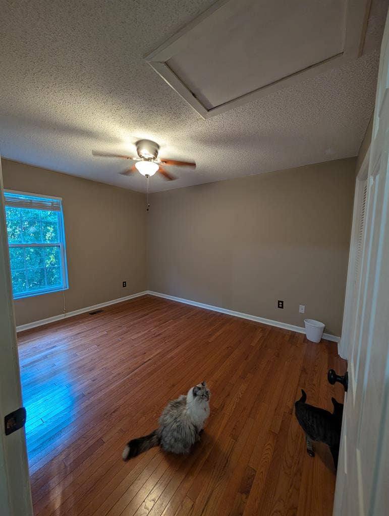 1 Bedroom furnished or unfurnished