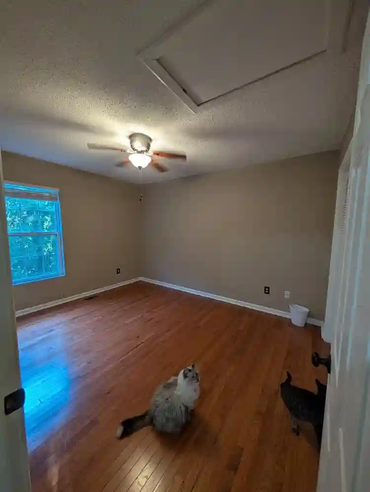 1 Bedroom furnished or unfurnished