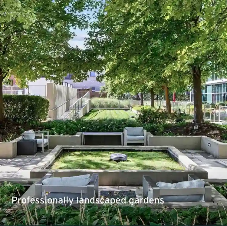 1 bed 1 bath sublet in Lakeview