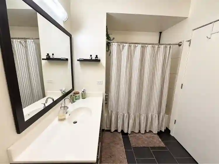 1 bed 1 bath sublet in Lakeview