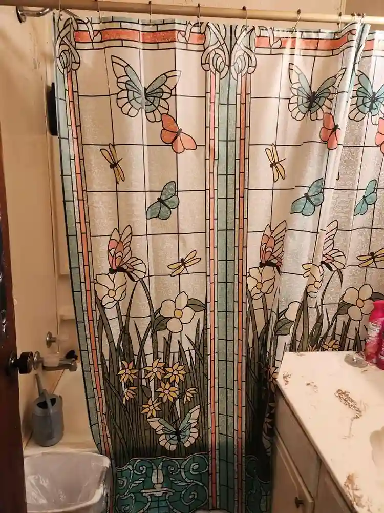 $900 Furn room shared bath util inc