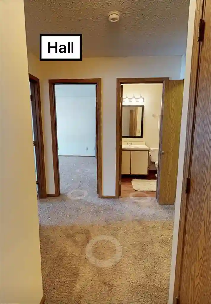 Roommate Wanted!
