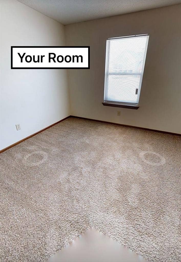 Roommate Wanted!