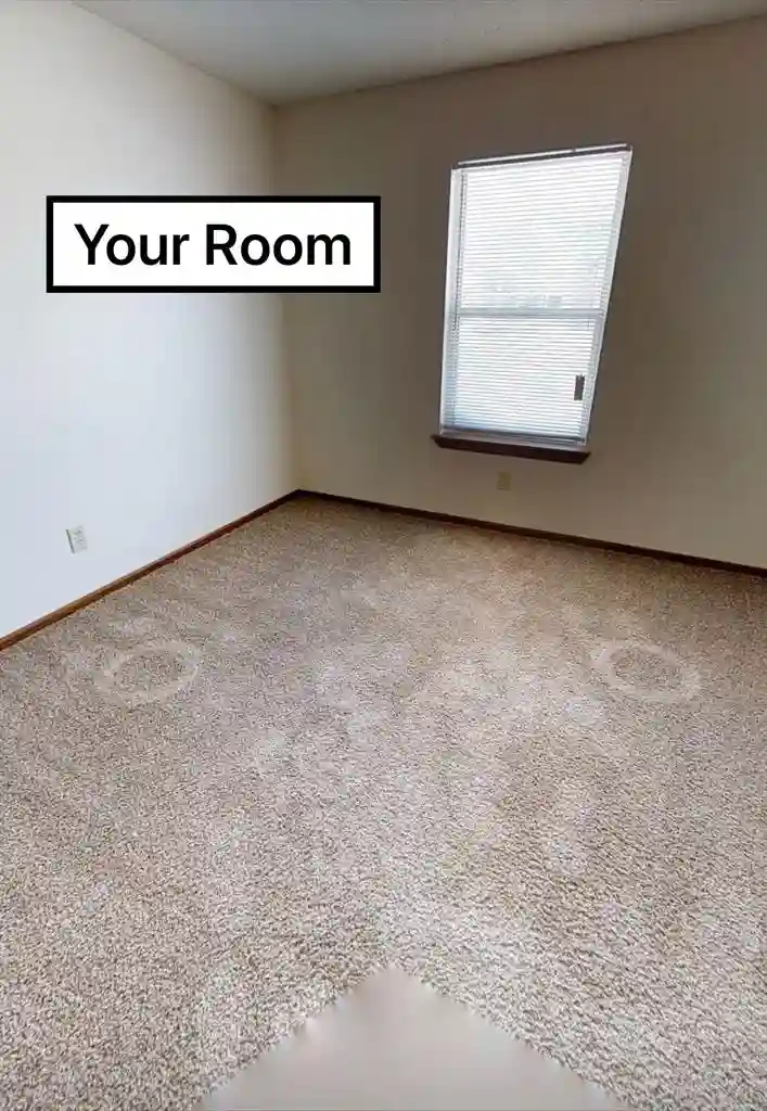 Roommate Wanted!