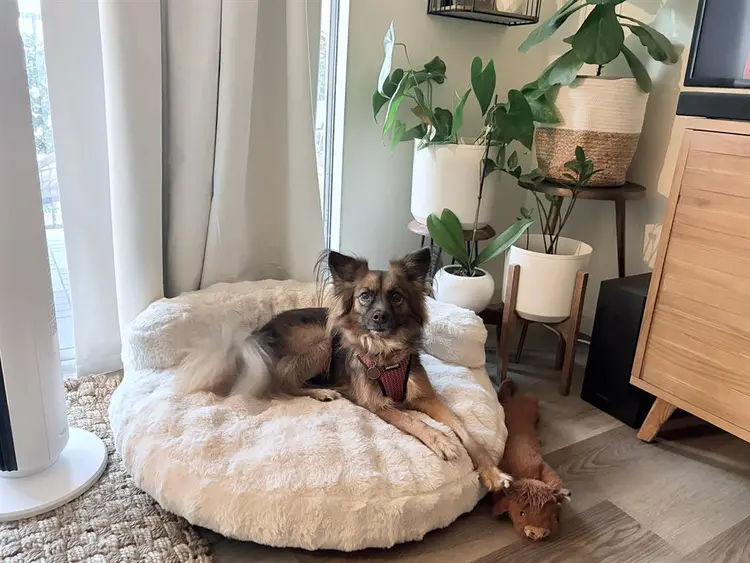 Large room for rent, available 10/1