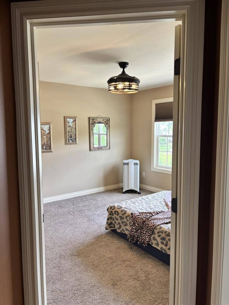 Master bedroom, attached Bathroom