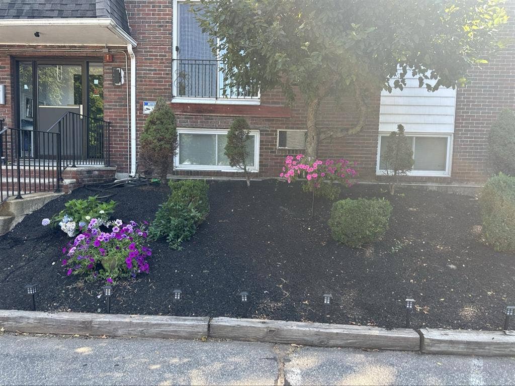 New Listing