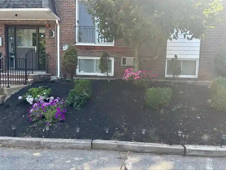 New Listing