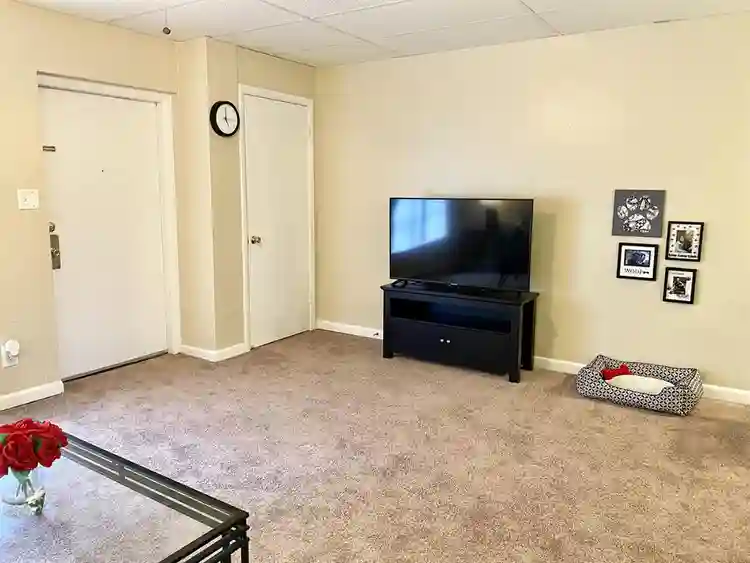 Sublease available for a true 1x1