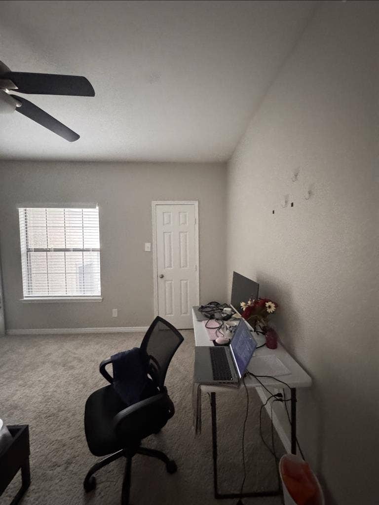 Looking for female Indian roommate