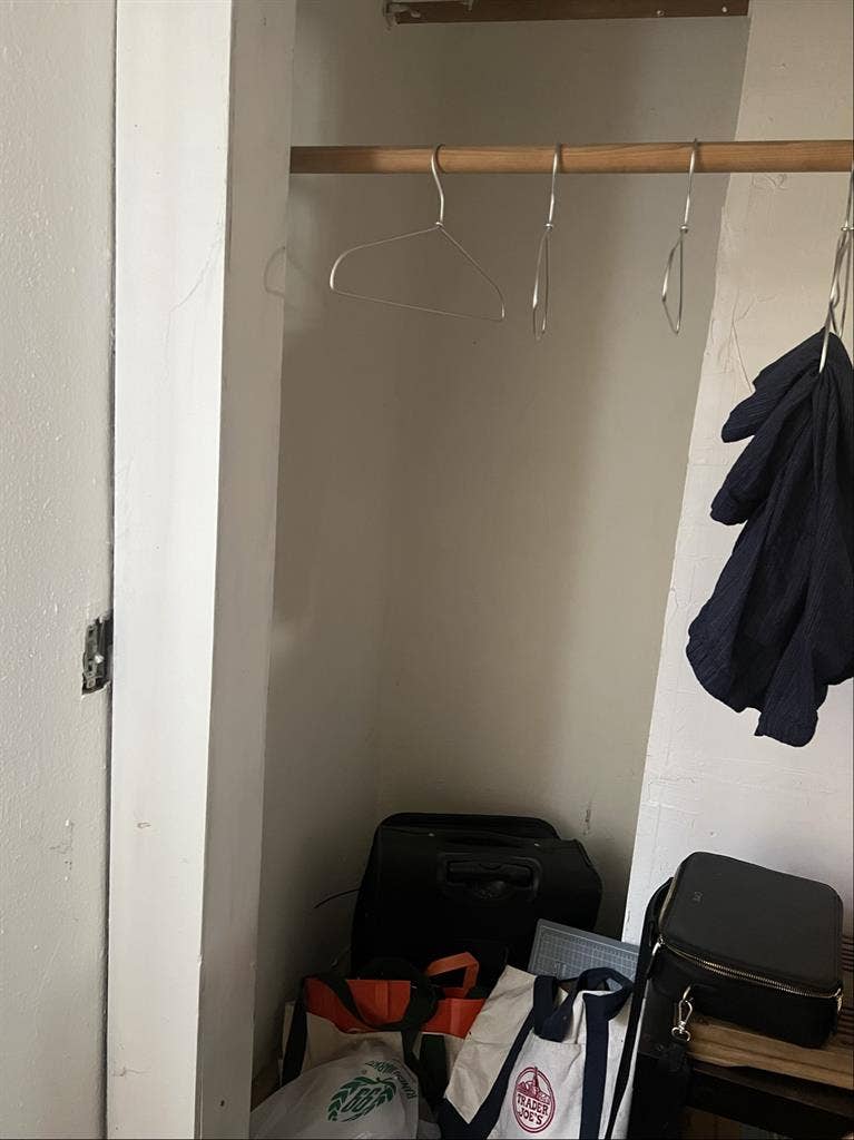 Female roommate wanted