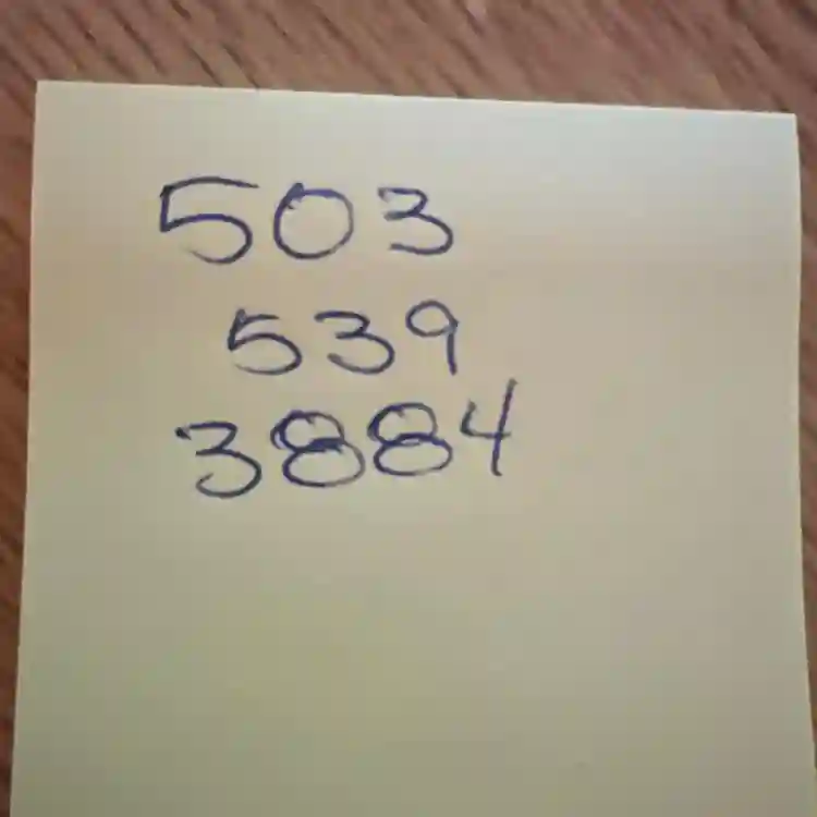 roommate wanted SE Portland