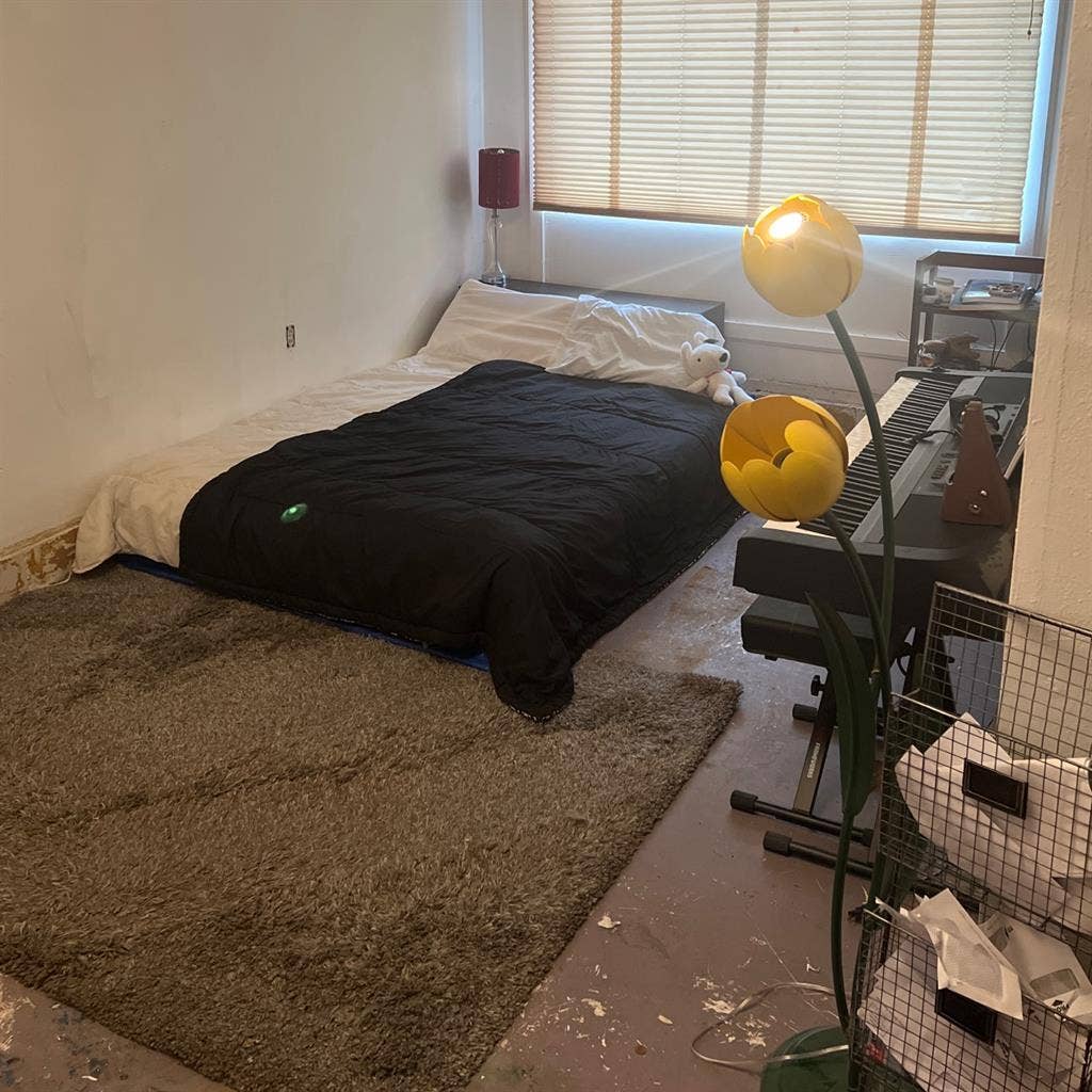roommate wanted SE