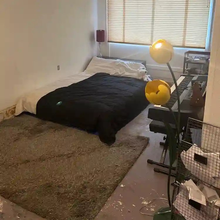 roommate wanted SE