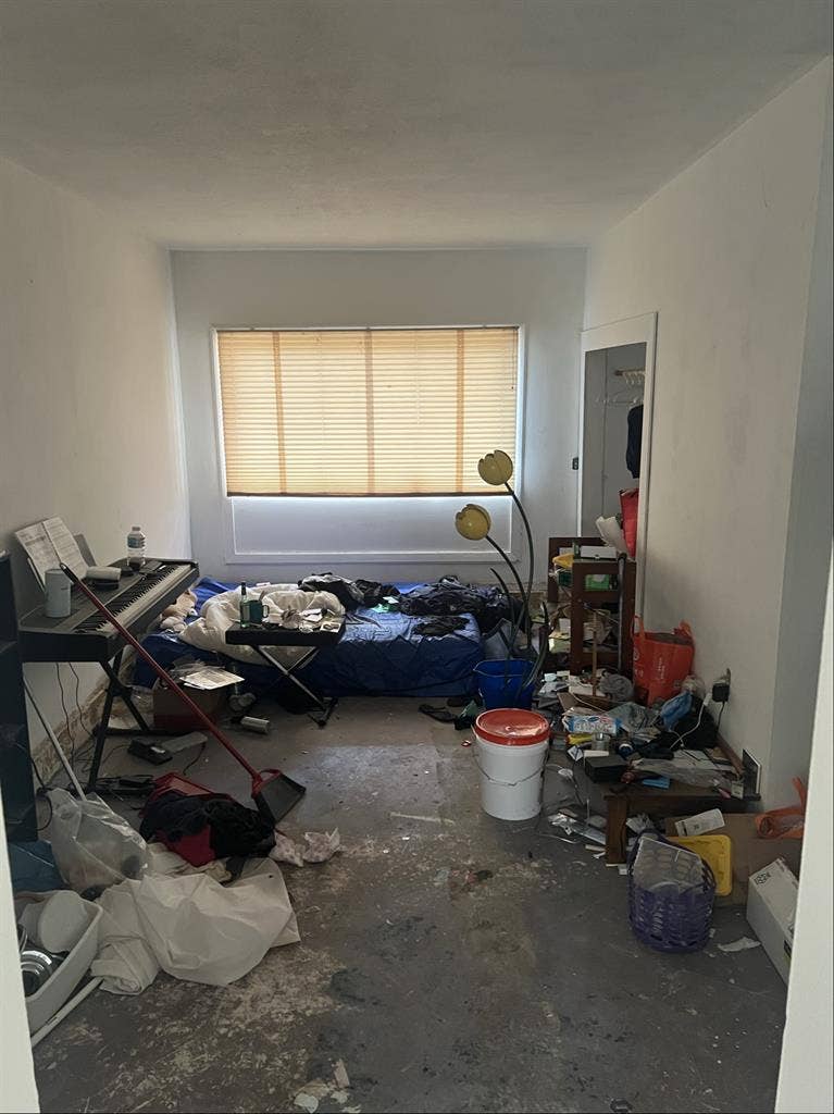 Female roommate wanted