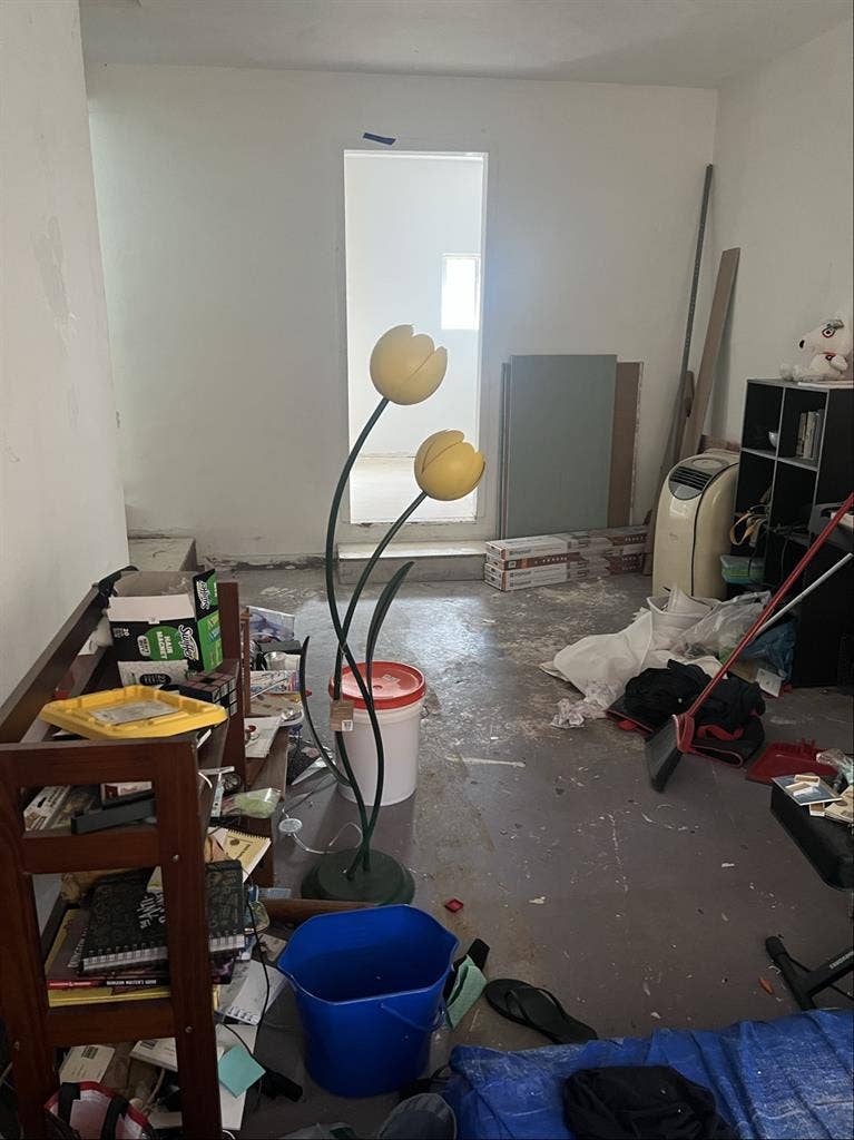 Female roommate wanted