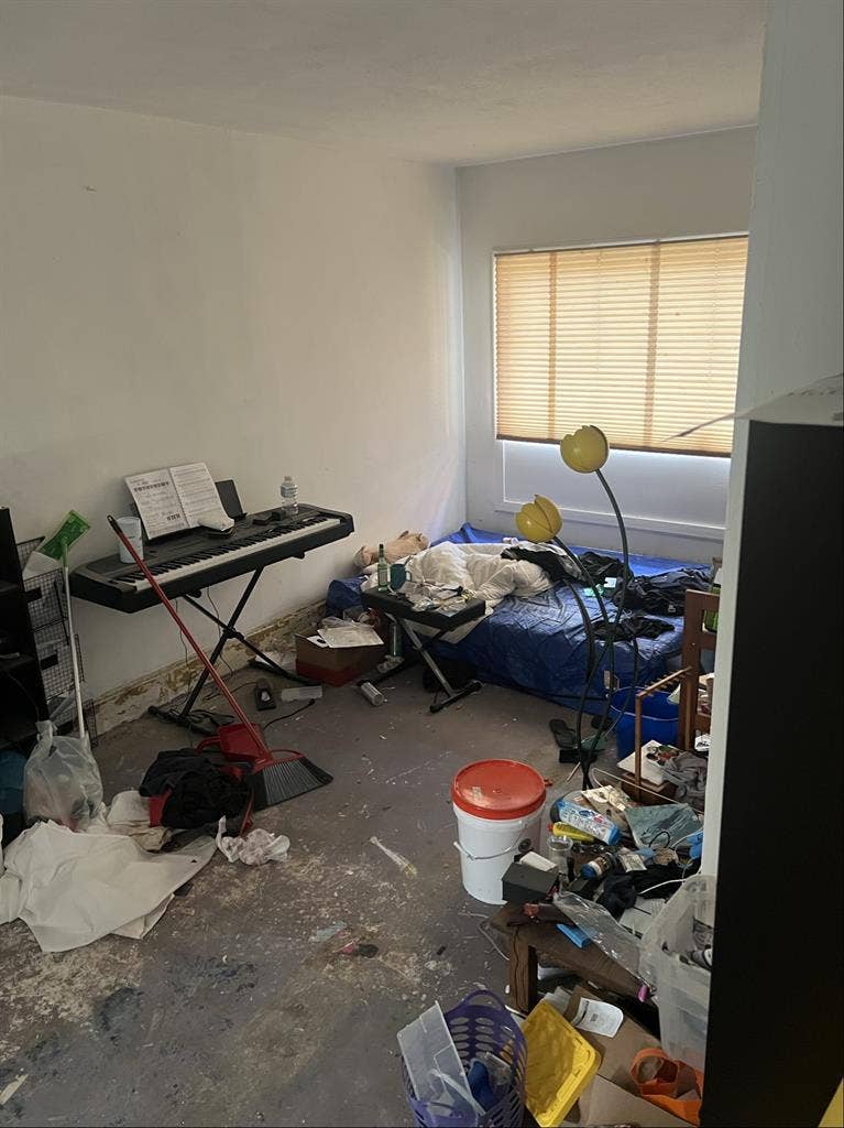 Female roommate wanted