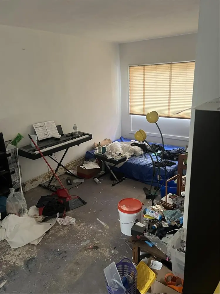 Female roommate wanted