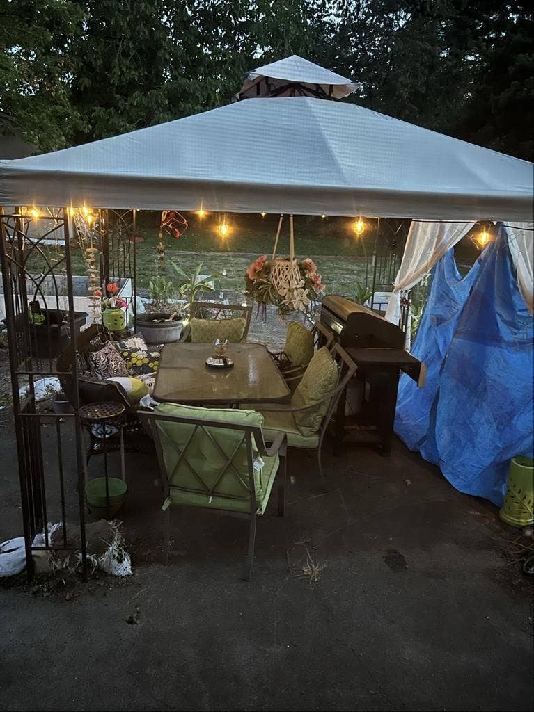 roommate wanted SE