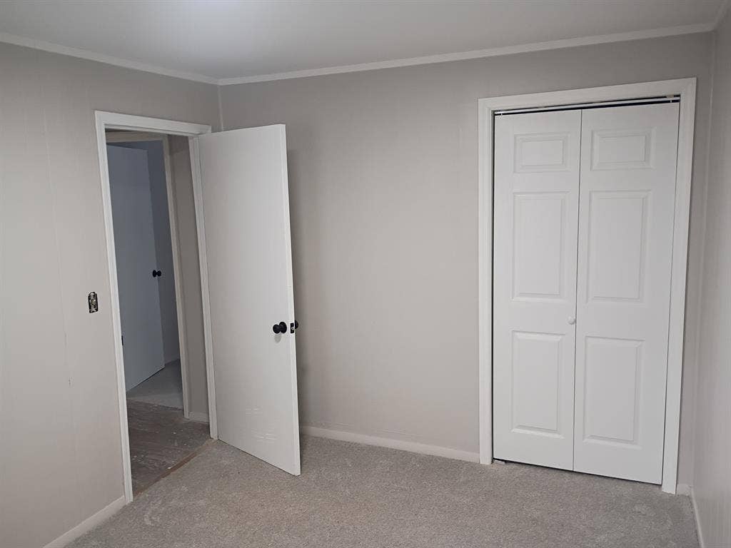 Female roommate wanted