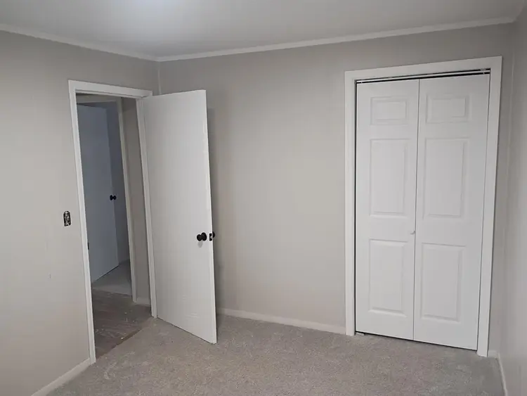 Female roommate wanted