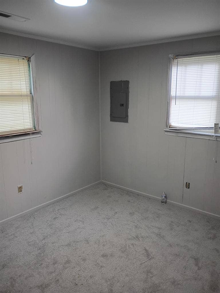 Female roommate wanted