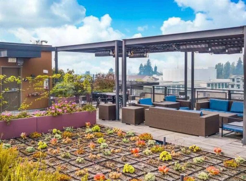 Shared Double Room Sublease