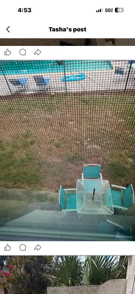 Looking for a roommate
