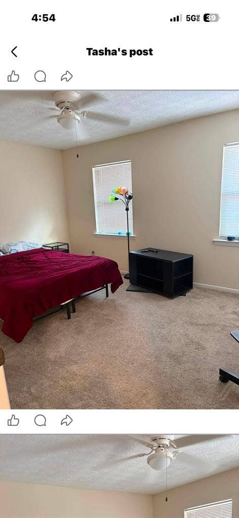 Looking for a roommate