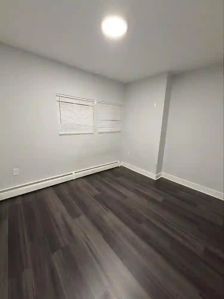 Looking for a roommate