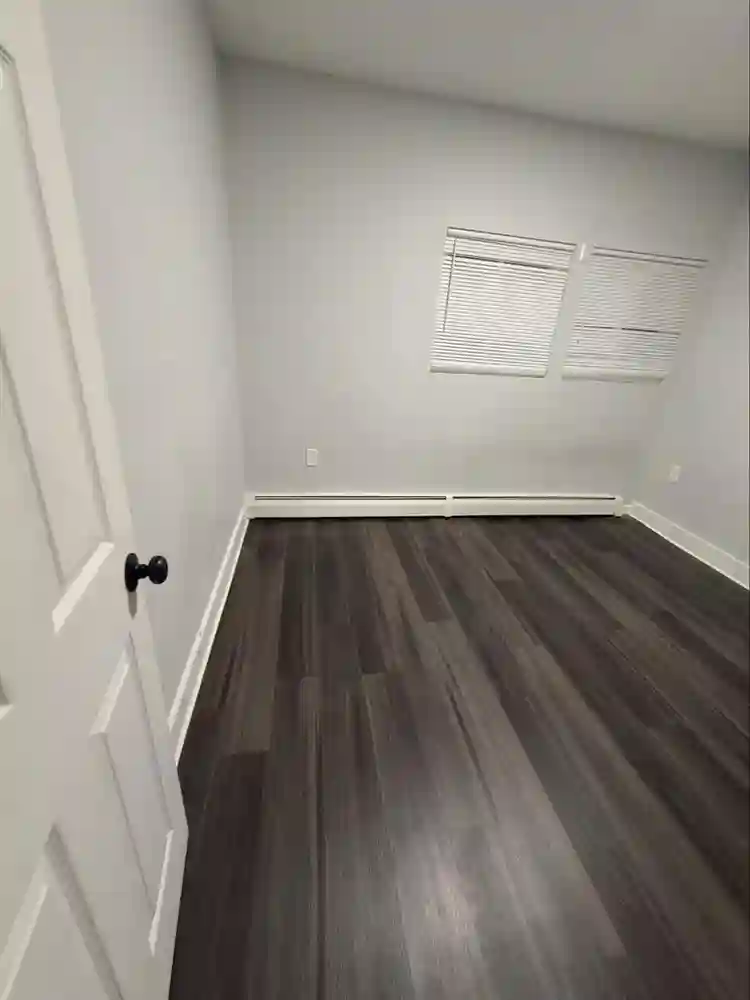 Looking for a roommate